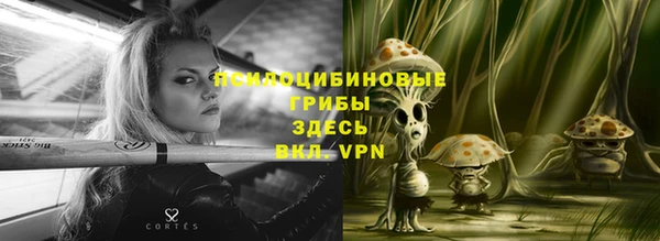 каннабис Алексеевка