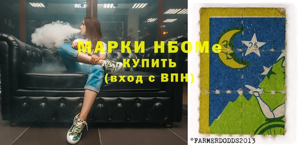 мет Алексин
