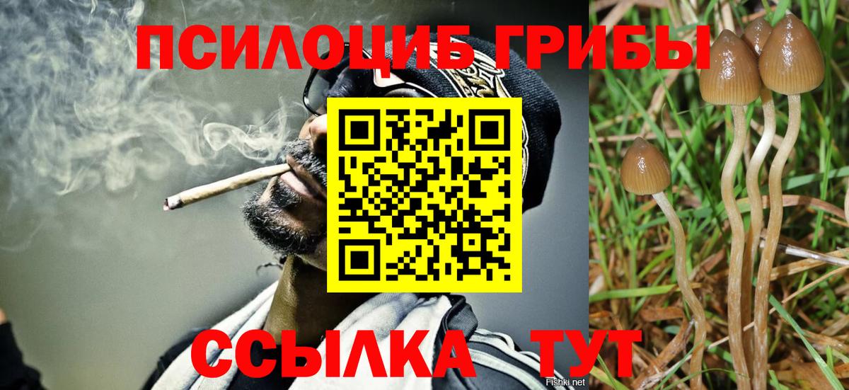 Шарыпово  Псилоцибиновые грибы мицелий  Псилоцибиновые грибы ЛСД  Вход с VPN 