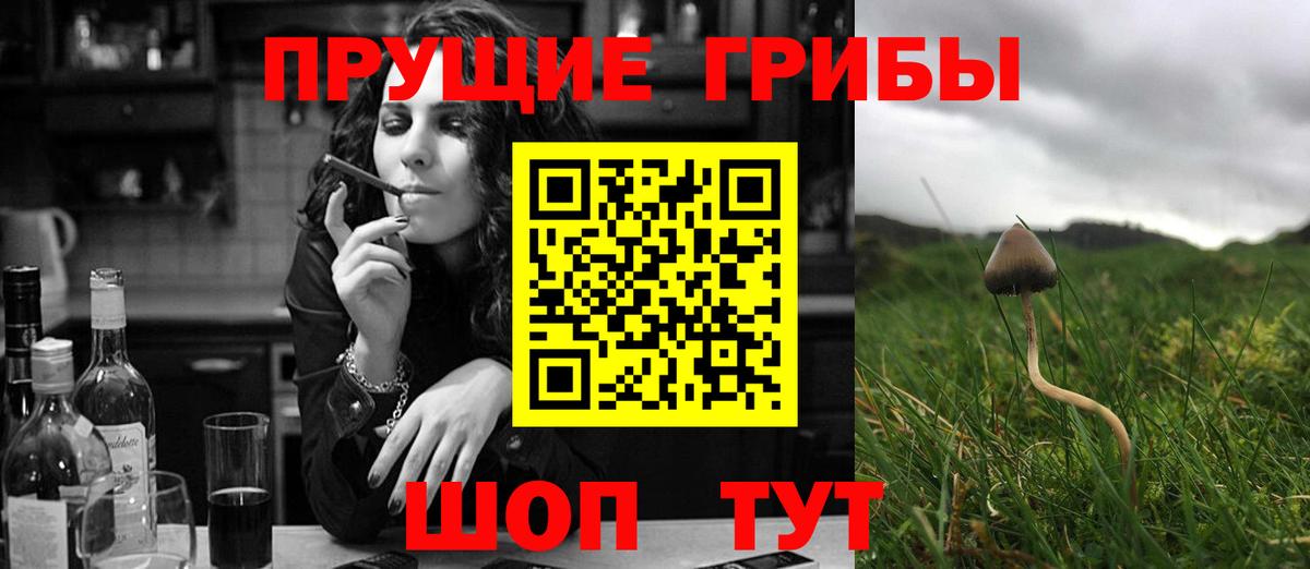 Галлюциногенные грибы мухоморы Шарыпово